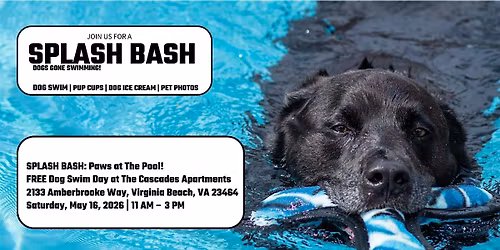 SPLASH BASH Dogs Gone Swimming PAWS at the Pool