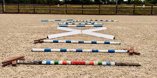 Pole work clinic run by vet physio 