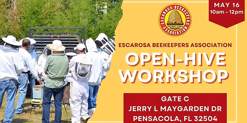 Open Hive Workshop