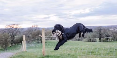 WFRDP Level 2A Training Day