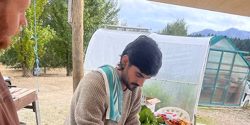 Saturday Bee & Pizza Making Extravaganza 