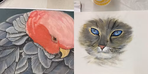 Introduction to Pastels