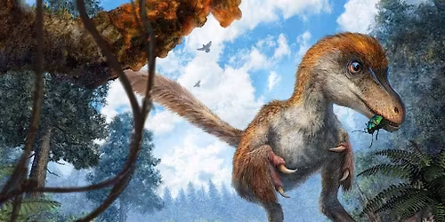 Dinosaurs : How Do We Know How They Lived? Family Friendly Lesson