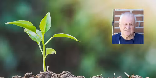 Noe \u00e5 l\u00e6re: Har naturen egenverdi?