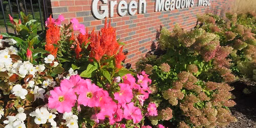 The Lamplighters Live at Green Meadows West
