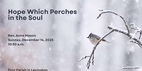 Hope Which Perches in the Soul