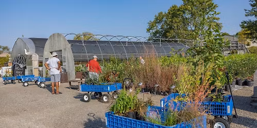 Native Plant Sale at Bowyer Farm