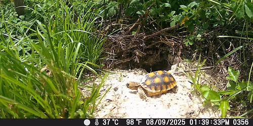 Race to Conserve 5K Run (Timed) and 1K to 5K Walk (Untimed) at Ann & Chuck Dever Regional Park