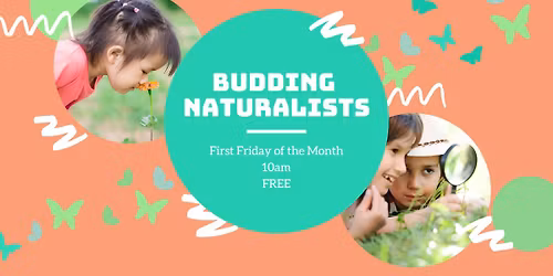 Budding Naturalist