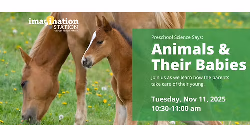 Preschool Science Says: Animals & Their Babies