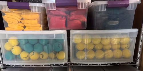 Bal-A-Vis-X 2-day Introduction