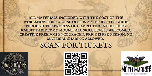 Taxidermy Class at Moth Market