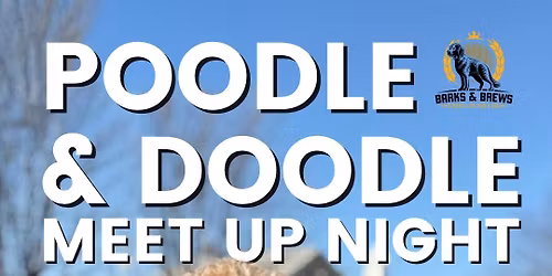 Poodle and Doodle Night