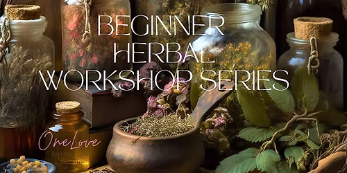 Herbal Foundations:  Introduction to Everyday Herbs