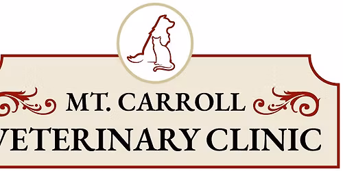 Diane Lewis Retirement Party!