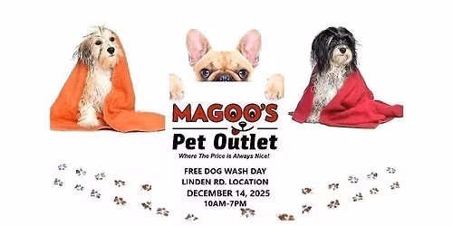 Free Dog Wash Day-3