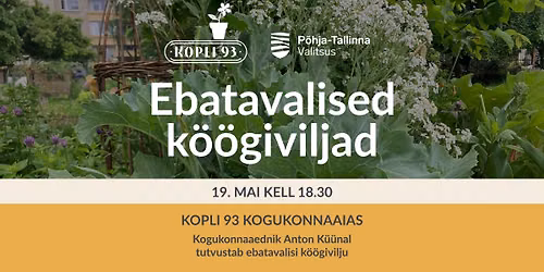 Ebatavalised k\u00f6\u00f6giviljad