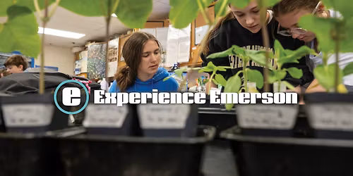 Experience Emerson: Small Group Tour