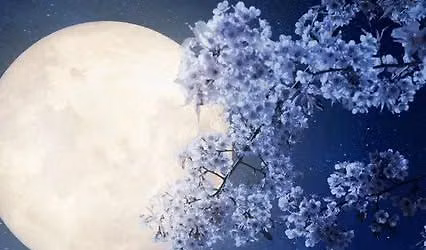 Full Moon Guided Meditation, $13
