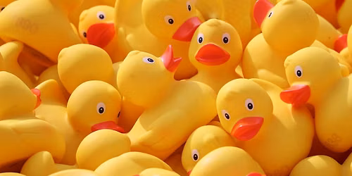 Rubber Duck Races **Date Change**