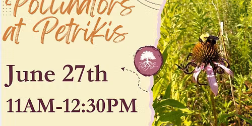 Pollinators at Petrikis