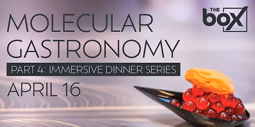 Molecular Gastronomy Part 4: Immersive Dinner Series