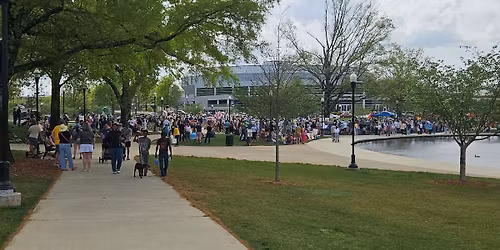 Solidarity Picnic in the Park 