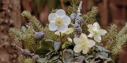 Kukkapaja & Purtavaa: Jouluistutus & -kahvit