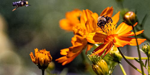 Riverside Garden Annual Meeting