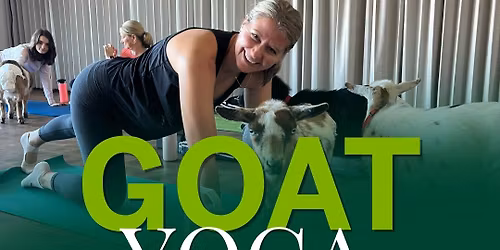 Goat Yoga