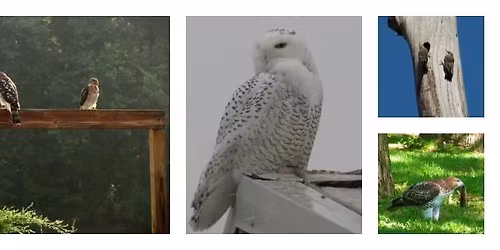 Berks Nature - Angelica Park - 8 AM 