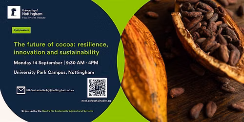The Future of Cocoa: Resilience, Innovation and Sustainability