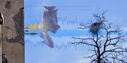 Pog\u0142osy miast \/ Resonant Cities (I): Nagrania terenowe jako narz\u0119dzie poznania miasta