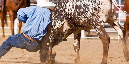 Bigfork Montana PRCA Pro Rodeo