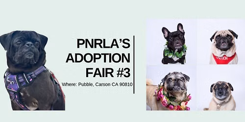 PNRLA Adoption Fair #3 at the Pubble