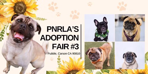 PNRLA Adoption Fair #3 at the Pubble