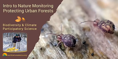 Introduction to Nature Monitoring \u2013 Protecting Urban Forests
