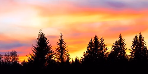 Buzzed at Sunset