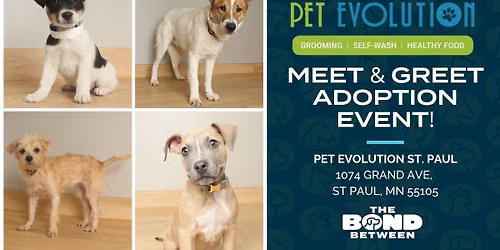Meet & Greet Adoption Event at Pet Evolution!