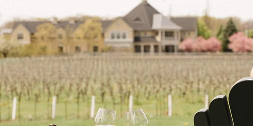 Vineyard Nights Cinema Retreat