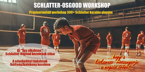 Schlatter-Osgood Workshop