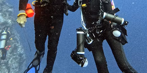 How was it SCUBA Diving in Palau in January?