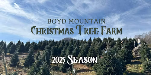 Choose & Cut at Boyd Mountain Christmas Tree Farm - 2025 Season