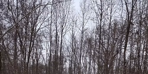 Naturalist 4-Mile Night Hike