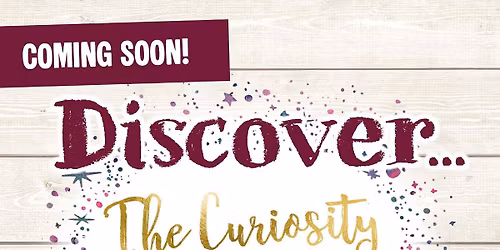 Morning Session - Discover \u2018The Curiosity Approach\u2019 with Steph