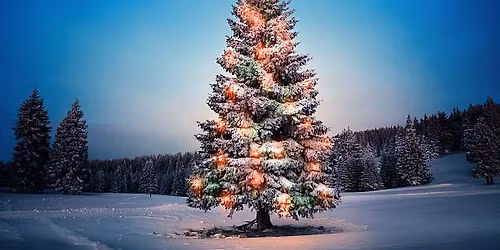 Holiday Tree Lighting on the Green
