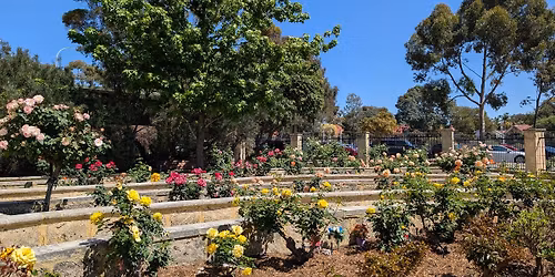 Families Morning Tea in the Garden 