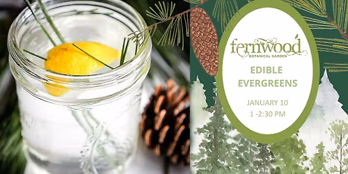 EDIBLE EVERGREENS