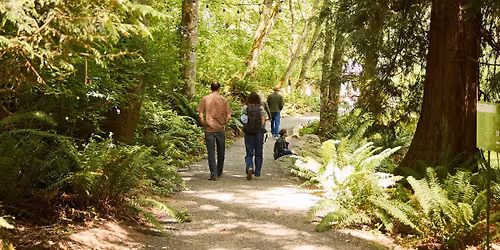 Volunteer Day 3: Webster's Woods Clean Up