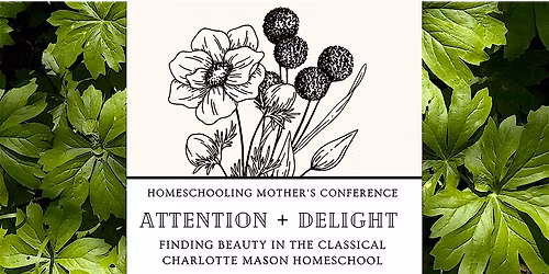 Attention & Delight